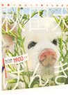 �H�c������