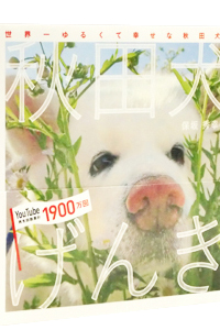 �H�c������
