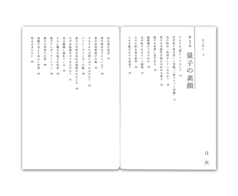 �搶�A������āu�ʎq�v�̎d�Ƃł����H